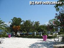 [P40] Lefkas Town, parcul de pe faleza » foto by Patzy
 - 
<span class="allrVoted glyphicon glyphicon-heart hidden" id="av258424"></span>
<a class="m-l-10 hidden" id="sv258424" onclick="voting_Foto_DelVot(,258424,3173)" role="button">șterge vot <span class="glyphicon glyphicon-remove"></span></a>
<a id="v9258424" class=" c-red"  onclick="voting_Foto_SetVot(258424)" role="button"><span class="glyphicon glyphicon-heart-empty"></span> <b>LIKE</b> = Votează poza</a> <img class="hidden"  id="f258424W9" src="/imagini/loader.gif" border="0" /><span class="AjErrMes hidden" id="e258424ErM"></span>
