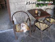 [P57] Metsovo, dupa atita drum, delicios frape » foto by Patzy
 - 
<span class="allrVoted glyphicon glyphicon-heart hidden" id="av258447"></span>
<a class="m-l-10 hidden" id="sv258447" onclick="voting_Foto_DelVot(,258447,3173)" role="button">șterge vot <span class="glyphicon glyphicon-remove"></span></a>
<a id="v9258447" class=" c-red"  onclick="voting_Foto_SetVot(258447)" role="button"><span class="glyphicon glyphicon-heart-empty"></span> <b>LIKE</b> = Votează poza</a> <img class="hidden"  id="f258447W9" src="/imagini/loader.gif" border="0" /><span class="AjErrMes hidden" id="e258447ErM"></span>