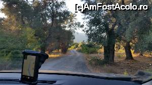 [P21] Pierduti in inima Lefkadei!  » foto by tdgabriela
 - 
<span class="allrVoted glyphicon glyphicon-heart hidden" id="av664227"></span>
<a class="m-l-10 hidden" id="sv664227" onclick="voting_Foto_DelVot(,664227,3173)" role="button">șterge vot <span class="glyphicon glyphicon-remove"></span></a>
<a id="v9664227" class=" c-red"  onclick="voting_Foto_SetVot(664227)" role="button"><span class="glyphicon glyphicon-heart-empty"></span> <b>LIKE</b> = Votează poza</a> <img class="hidden"  id="f664227W9" src="/imagini/loader.gif" border="0" /><span class="AjErrMes hidden" id="e664227ErM"></span>