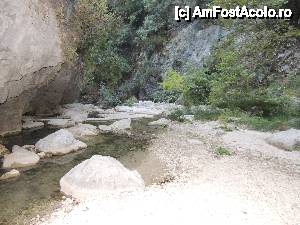 [P35] drumul catre cascada » foto by petrescuirina
 - 
<span class="allrVoted glyphicon glyphicon-heart hidden" id="av468317"></span>
<a class="m-l-10 hidden" id="sv468317" onclick="voting_Foto_DelVot(,468317,3173)" role="button">șterge vot <span class="glyphicon glyphicon-remove"></span></a>
<a id="v9468317" class=" c-red"  onclick="voting_Foto_SetVot(468317)" role="button"><span class="glyphicon glyphicon-heart-empty"></span> <b>LIKE</b> = Votează poza</a> <img class="hidden"  id="f468317W9" src="/imagini/loader.gif" border="0" /><span class="AjErrMes hidden" id="e468317ErM"></span>