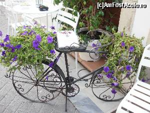 [P23] Stradutele din Lefkada Town » foto by aruapap*
 - 
<span class="allrVoted glyphicon glyphicon-heart hidden" id="av587537"></span>
<a class="m-l-10 hidden" id="sv587537" onclick="voting_Foto_DelVot(,587537,3173)" role="button">șterge vot <span class="glyphicon glyphicon-remove"></span></a>
<a id="v9587537" class=" c-red"  onclick="voting_Foto_SetVot(587537)" role="button"><span class="glyphicon glyphicon-heart-empty"></span> <b>LIKE</b> = Votează poza</a> <img class="hidden"  id="f587537W9" src="/imagini/loader.gif" border="0" /><span class="AjErrMes hidden" id="e587537ErM"></span>