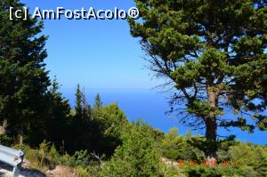 [P33] peisaj in drum spre Porto Katsiki » foto by adryana
 - 
<span class="allrVoted glyphicon glyphicon-heart hidden" id="av759447"></span>
<a class="m-l-10 hidden" id="sv759447" onclick="voting_Foto_DelVot(,759447,3173)" role="button">șterge vot <span class="glyphicon glyphicon-remove"></span></a>
<a id="v9759447" class=" c-red"  onclick="voting_Foto_SetVot(759447)" role="button"><span class="glyphicon glyphicon-heart-empty"></span> <b>LIKE</b> = Votează poza</a> <img class="hidden"  id="f759447W9" src="/imagini/loader.gif" border="0" /><span class="AjErrMes hidden" id="e759447ErM"></span>