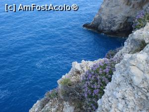 [P30] marea la Porto Katsiki » foto by adryana
 - 
<span class="allrVoted glyphicon glyphicon-heart hidden" id="av1091123"></span>
<a class="m-l-10 hidden" id="sv1091123" onclick="voting_Foto_DelVot(,1091123,3173)" role="button">șterge vot <span class="glyphicon glyphicon-remove"></span></a>
<a id="v91091123" class=" c-red"  onclick="voting_Foto_SetVot(1091123)" role="button"><span class="glyphicon glyphicon-heart-empty"></span> <b>LIKE</b> = Votează poza</a> <img class="hidden"  id="f1091123W9" src="/imagini/loader.gif" border="0" /><span class="AjErrMes hidden" id="e1091123ErM"></span>