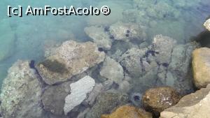 [P18] Apa cristalina in portul Nikiana » foto by hopyk
 - 
<span class="allrVoted glyphicon glyphicon-heart hidden" id="av824715"></span>
<a class="m-l-10 hidden" id="sv824715" onclick="voting_Foto_DelVot(,824715,3173)" role="button">șterge vot <span class="glyphicon glyphicon-remove"></span></a>
<a id="v9824715" class=" c-red"  onclick="voting_Foto_SetVot(824715)" role="button"><span class="glyphicon glyphicon-heart-empty"></span> <b>LIKE</b> = Votează poza</a> <img class="hidden"  id="f824715W9" src="/imagini/loader.gif" border="0" /><span class="AjErrMes hidden" id="e824715ErM"></span>