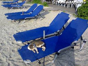[P20] In Grecia, nimic nu misca pana la ora 9 » foto by dorgo
 - 
<span class="allrVoted glyphicon glyphicon-heart hidden" id="av519407"></span>
<a class="m-l-10 hidden" id="sv519407" onclick="voting_Foto_DelVot(,519407,3173)" role="button">șterge vot <span class="glyphicon glyphicon-remove"></span></a>
<a id="v9519407" class=" c-red"  onclick="voting_Foto_SetVot(519407)" role="button"><span class="glyphicon glyphicon-heart-empty"></span> <b>LIKE</b> = Votează poza</a> <img class="hidden"  id="f519407W9" src="/imagini/loader.gif" border="0" /><span class="AjErrMes hidden" id="e519407ErM"></span>