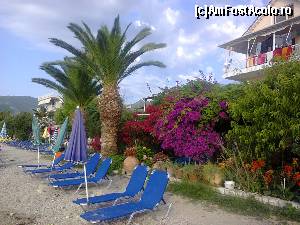[P03] Plaja din Nidri, florile de Bougainvillea si palmierii, e afla chiar in spatele selongurilor » foto by dorgo
 - 
<span class="allrVoted glyphicon glyphicon-heart hidden" id="av621616"></span>
<a class="m-l-10 hidden" id="sv621616" onclick="voting_Foto_DelVot(,621616,3173)" role="button">șterge vot <span class="glyphicon glyphicon-remove"></span></a>
<a id="v9621616" class=" c-red"  onclick="voting_Foto_SetVot(621616)" role="button"><span class="glyphicon glyphicon-heart-empty"></span> <b>LIKE</b> = Votează poza</a> <img class="hidden"  id="f621616W9" src="/imagini/loader.gif" border="0" /><span class="AjErrMes hidden" id="e621616ErM"></span>