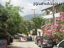 [P01] Straduta in Agios Nikitas » foto by anuszka
 - 
<span class="allrVoted glyphicon glyphicon-heart hidden" id="av89106"></span>
<a class="m-l-10 hidden" id="sv89106" onclick="voting_Foto_DelVot(,89106,3173)" role="button">șterge vot <span class="glyphicon glyphicon-remove"></span></a>
<a id="v989106" class=" c-red"  onclick="voting_Foto_SetVot(89106)" role="button"><span class="glyphicon glyphicon-heart-empty"></span> <b>LIKE</b> = Votează poza</a> <img class="hidden"  id="f89106W9" src="/imagini/loader.gif" border="0" /><span class="AjErrMes hidden" id="e89106ErM"></span>