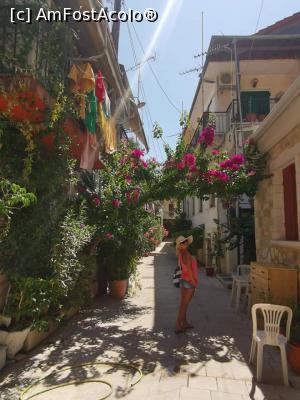 [P12] Lefkada Town » foto by GCC
 - 
<span class="allrVoted glyphicon glyphicon-heart hidden" id="av1104628"></span>
<a class="m-l-10 hidden" id="sv1104628" onclick="voting_Foto_DelVot(,1104628,3173)" role="button">șterge vot <span class="glyphicon glyphicon-remove"></span></a>
<a id="v91104628" class=" c-red"  onclick="voting_Foto_SetVot(1104628)" role="button"><span class="glyphicon glyphicon-heart-empty"></span> <b>LIKE</b> = Votează poza</a> <img class="hidden"  id="f1104628W9" src="/imagini/loader.gif" border="0" /><span class="AjErrMes hidden" id="e1104628ErM"></span>