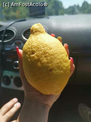[P13]  -- <small>// FĂRĂ DESCRIERE</small> » foto by GCC
 - 
<span class="allrVoted glyphicon glyphicon-heart hidden" id="av1104629"></span>
<a class="m-l-10 hidden" id="sv1104629" onclick="voting_Foto_DelVot(,1104629,3173)" role="button">șterge vot <span class="glyphicon glyphicon-remove"></span></a>
<a id="v91104629" class=" c-red"  onclick="voting_Foto_SetVot(1104629)" role="button"><span class="glyphicon glyphicon-heart-empty"></span> <b>LIKE</b> = Votează poza</a> <img class="hidden"  id="f1104629W9" src="/imagini/loader.gif" border="0" /><span class="AjErrMes hidden" id="e1104629ErM"></span>