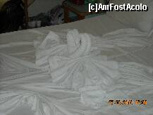 [P06]  -- <small>// FĂRĂ DESCRIERE</small> » foto by badea68
 - 
<span class="allrVoted glyphicon glyphicon-heart hidden" id="av135887"></span>
<a class="m-l-10 hidden" id="sv135887" onclick="voting_Foto_DelVot(,135887,3175)" role="button">șterge vot <span class="glyphicon glyphicon-remove"></span></a>
<a id="v9135887" class=" c-red"  onclick="voting_Foto_SetVot(135887)" role="button"><span class="glyphicon glyphicon-heart-empty"></span> <b>LIKE</b> = Votează poza</a> <img class="hidden"  id="f135887W9" src="/imagini/loader.gif" border="0" /><span class="AjErrMes hidden" id="e135887ErM"></span>