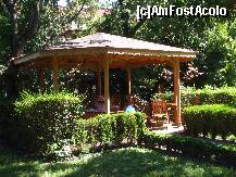[P02] Foisor in gradina » foto by virginia61
 - 
<span class="allrVoted glyphicon glyphicon-heart hidden" id="av131971"></span>
<a class="m-l-10 hidden" id="sv131971" onclick="voting_Foto_DelVot(,131971,3175)" role="button">șterge vot <span class="glyphicon glyphicon-remove"></span></a>
<a id="v9131971" class=" c-red"  onclick="voting_Foto_SetVot(131971)" role="button"><span class="glyphicon glyphicon-heart-empty"></span> <b>LIKE</b> = Votează poza</a> <img class="hidden"  id="f131971W9" src="/imagini/loader.gif" border="0" /><span class="AjErrMes hidden" id="e131971ErM"></span>