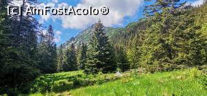 [P01] Prima poienita intalnita » foto by noi doi
 - 
<span class="allrVoted glyphicon glyphicon-heart hidden" id="av1304944"></span>
<a class="m-l-10 hidden" id="sv1304944" onclick="voting_Foto_DelVot(,1304944,3180)" role="button">șterge vot <span class="glyphicon glyphicon-remove"></span></a>
<a id="v91304944" class=" c-red"  onclick="voting_Foto_SetVot(1304944)" role="button"><span class="glyphicon glyphicon-heart-empty"></span> <b>LIKE</b> = Votează poza</a> <img class="hidden"  id="f1304944W9" src="/imagini/loader.gif" border="0" /><span class="AjErrMes hidden" id="e1304944ErM"></span>