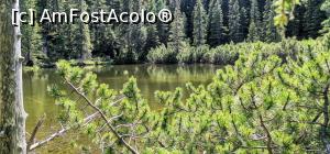 [P17] Verde absolut » foto by noi doi
 - 
<span class="allrVoted glyphicon glyphicon-heart hidden" id="av1304960"></span>
<a class="m-l-10 hidden" id="sv1304960" onclick="voting_Foto_DelVot(,1304960,3180)" role="button">șterge vot <span class="glyphicon glyphicon-remove"></span></a>
<a id="v91304960" class=" c-red"  onclick="voting_Foto_SetVot(1304960)" role="button"><span class="glyphicon glyphicon-heart-empty"></span> <b>LIKE</b> = Votează poza</a> <img class="hidden"  id="f1304960W9" src="/imagini/loader.gif" border="0" /><span class="AjErrMes hidden" id="e1304960ErM"></span>