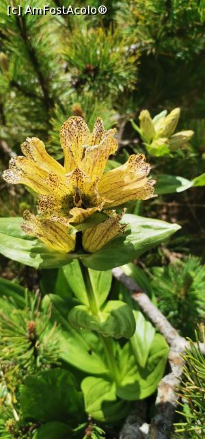 [P03] Amazing flower » foto by noi doi
 - 
<span class="allrVoted glyphicon glyphicon-heart hidden" id="av1304946"></span>
<a class="m-l-10 hidden" id="sv1304946" onclick="voting_Foto_DelVot(,1304946,3180)" role="button">șterge vot <span class="glyphicon glyphicon-remove"></span></a>
<a id="v91304946" class=" c-red"  onclick="voting_Foto_SetVot(1304946)" role="button"><span class="glyphicon glyphicon-heart-empty"></span> <b>LIKE</b> = Votează poza</a> <img class="hidden"  id="f1304946W9" src="/imagini/loader.gif" border="0" /><span class="AjErrMes hidden" id="e1304946ErM"></span>