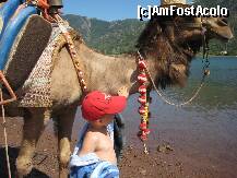 [P15] Intr-una din pauzele pe care le-am facut la jeep safari » foto by elena_iasi
 - 
<span class="allrVoted glyphicon glyphicon-heart hidden" id="av277676"></span>
<a class="m-l-10 hidden" id="sv277676" onclick="voting_Foto_DelVot(,277676,3186)" role="button">șterge vot <span class="glyphicon glyphicon-remove"></span></a>
<a id="v9277676" class=" c-red"  onclick="voting_Foto_SetVot(277676)" role="button"><span class="glyphicon glyphicon-heart-empty"></span> <b>LIKE</b> = Votează poza</a> <img class="hidden"  id="f277676W9" src="/imagini/loader.gif" border="0" /><span class="AjErrMes hidden" id="e277676ErM"></span>
