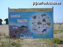 [P04] Plaja Iztuzu si panoul de la intrarea pe plaja despre cicluc de viata al broscutelor » foto by pink_gabi*
 - 
<span class="allrVoted glyphicon glyphicon-heart hidden" id="av61295"></span>
<a class="m-l-10 hidden" id="sv61295" onclick="voting_Foto_DelVot(,61295,3186)" role="button">șterge vot <span class="glyphicon glyphicon-remove"></span></a>
<a id="v961295" class=" c-red"  onclick="voting_Foto_SetVot(61295)" role="button"><span class="glyphicon glyphicon-heart-empty"></span> <b>LIKE</b> = Votează poza</a> <img class="hidden"  id="f61295W9" src="/imagini/loader.gif" border="0" /><span class="AjErrMes hidden" id="e61295ErM"></span>