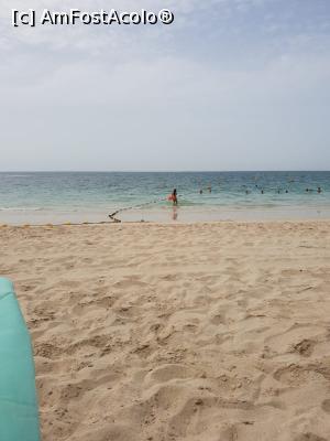 [P03] Jumeira Beach » foto by Aniram
 - 
<span class="allrVoted glyphicon glyphicon-heart hidden" id="av1097590"></span>
<a class="m-l-10 hidden" id="sv1097590" onclick="voting_Foto_DelVot(,1097590,3199)" role="button">șterge vot <span class="glyphicon glyphicon-remove"></span></a>
<a id="v91097590" class=" c-red"  onclick="voting_Foto_SetVot(1097590)" role="button"><span class="glyphicon glyphicon-heart-empty"></span> <b>LIKE</b> = Votează poza</a> <img class="hidden"  id="f1097590W9" src="/imagini/loader.gif" border="0" /><span class="AjErrMes hidden" id="e1097590ErM"></span>