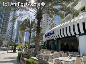 [P13] Dubai Marina. » foto by Dănuț.Albu
 - 
<span class="allrVoted glyphicon glyphicon-heart hidden" id="av1376477"></span>
<a class="m-l-10 hidden" id="sv1376477" onclick="voting_Foto_DelVot(,1376477,3199)" role="button">șterge vot <span class="glyphicon glyphicon-remove"></span></a>
<a id="v91376477" class=" c-red"  onclick="voting_Foto_SetVot(1376477)" role="button"><span class="glyphicon glyphicon-heart-empty"></span> <b>LIKE</b> = Votează poza</a> <img class="hidden"  id="f1376477W9" src="/imagini/loader.gif" border="0" /><span class="AjErrMes hidden" id="e1376477ErM"></span>