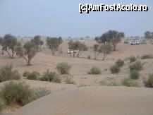 [P11] Jeep safari » foto by badge®
 - 
<span class="allrVoted glyphicon glyphicon-heart hidden" id="av164750"></span>
<a class="m-l-10 hidden" id="sv164750" onclick="voting_Foto_DelVot(,164750,3199)" role="button">șterge vot <span class="glyphicon glyphicon-remove"></span></a>
<a id="v9164750" class=" c-red"  onclick="voting_Foto_SetVot(164750)" role="button"><span class="glyphicon glyphicon-heart-empty"></span> <b>LIKE</b> = Votează poza</a> <img class="hidden"  id="f164750W9" src="/imagini/loader.gif" border="0" /><span class="AjErrMes hidden" id="e164750ErM"></span>