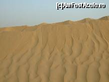 [P09] Vârful dunei » foto by badge®
 - 
<span class="allrVoted glyphicon glyphicon-heart hidden" id="av164748"></span>
<a class="m-l-10 hidden" id="sv164748" onclick="voting_Foto_DelVot(,164748,3199)" role="button">șterge vot <span class="glyphicon glyphicon-remove"></span></a>
<a id="v9164748" class=" c-red"  onclick="voting_Foto_SetVot(164748)" role="button"><span class="glyphicon glyphicon-heart-empty"></span> <b>LIKE</b> = Votează poza</a> <img class="hidden"  id="f164748W9" src="/imagini/loader.gif" border="0" /><span class="AjErrMes hidden" id="e164748ErM"></span>