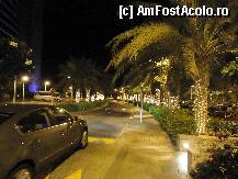 [P10] Una din aleile de acces ale hotelului Jumeirah Beach » foto by station5*
 - 
<span class="allrVoted glyphicon glyphicon-heart hidden" id="av196278"></span>
<a class="m-l-10 hidden" id="sv196278" onclick="voting_Foto_DelVot(,196278,3199)" role="button">șterge vot <span class="glyphicon glyphicon-remove"></span></a>
<a id="v9196278" class=" c-red"  onclick="voting_Foto_SetVot(196278)" role="button"><span class="glyphicon glyphicon-heart-empty"></span> <b>LIKE</b> = Votează poza</a> <img class="hidden"  id="f196278W9" src="/imagini/loader.gif" border="0" /><span class="AjErrMes hidden" id="e196278ErM"></span>