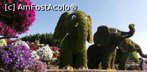 [P04] Miracle Garden » foto by PISICAANA
 - 
<span class="allrVoted glyphicon glyphicon-heart hidden" id="av1048751"></span>
<a class="m-l-10 hidden" id="sv1048751" onclick="voting_Foto_DelVot(,1048751,3199)" role="button">șterge vot <span class="glyphicon glyphicon-remove"></span></a>
<a id="v91048751" class=" c-red"  onclick="voting_Foto_SetVot(1048751)" role="button"><span class="glyphicon glyphicon-heart-empty"></span> <b>LIKE</b> = Votează poza</a> <img class="hidden"  id="f1048751W9" src="/imagini/loader.gif" border="0" /><span class="AjErrMes hidden" id="e1048751ErM"></span>