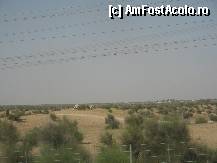 [P01] Dubai - desertul spre grnita cu Oman, apar primele camile » foto by AndreeaG
 - 
<span class="allrVoted glyphicon glyphicon-heart hidden" id="av285069"></span>
<a class="m-l-10 hidden" id="sv285069" onclick="voting_Foto_DelVot(,285069,3199)" role="button">șterge vot <span class="glyphicon glyphicon-remove"></span></a>
<a id="v9285069" class=" c-red"  onclick="voting_Foto_SetVot(285069)" role="button"><span class="glyphicon glyphicon-heart-empty"></span> <b>LIKE</b> = Votează poza</a> <img class="hidden"  id="f285069W9" src="/imagini/loader.gif" border="0" /><span class="AjErrMes hidden" id="e285069ErM"></span>