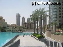 [P13] Dubai - complex rezidential select, in centrul orasului, cu propriul laculet artificial, eu am zis ca daca nu un apartament, macar un palmier sa-mi cumpar pe acolo, greu m-am mai dezlipit » foto by AndreeaG
 - 
<span class="allrVoted glyphicon glyphicon-heart hidden" id="av285081"></span>
<a class="m-l-10 hidden" id="sv285081" onclick="voting_Foto_DelVot(,285081,3199)" role="button">șterge vot <span class="glyphicon glyphicon-remove"></span></a>
<a id="v9285081" class=" c-red"  onclick="voting_Foto_SetVot(285081)" role="button"><span class="glyphicon glyphicon-heart-empty"></span> <b>LIKE</b> = Votează poza</a> <img class="hidden"  id="f285081W9" src="/imagini/loader.gif" border="0" /><span class="AjErrMes hidden" id="e285081ErM"></span>