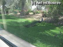[P06] Dubai - faunei asteia i-ar fi stat bine si pe un gratar, incepea sa ne fie cam foame, deci scuzati abundenta de impanate » foto by AndreeaG
 - 
<span class="allrVoted glyphicon glyphicon-heart hidden" id="av285074"></span>
<a class="m-l-10 hidden" id="sv285074" onclick="voting_Foto_DelVot(,285074,3199)" role="button">șterge vot <span class="glyphicon glyphicon-remove"></span></a>
<a id="v9285074" class=" c-red"  onclick="voting_Foto_SetVot(285074)" role="button"><span class="glyphicon glyphicon-heart-empty"></span> <b>LIKE</b> = Votează poza</a> <img class="hidden"  id="f285074W9" src="/imagini/loader.gif" border="0" /><span class="AjErrMes hidden" id="e285074ErM"></span>