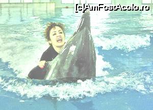 [P02] inot cu delfinii - experienta care trebuie traita, nu povestita » foto by anihbo
 - 
<span class="allrVoted glyphicon glyphicon-heart hidden" id="av677919"></span>
<a class="m-l-10 hidden" id="sv677919" onclick="voting_Foto_DelVot(,677919,3199)" role="button">șterge vot <span class="glyphicon glyphicon-remove"></span></a>
<a id="v9677919" class=" c-red"  onclick="voting_Foto_SetVot(677919)" role="button"><span class="glyphicon glyphicon-heart-empty"></span> <b>LIKE</b> = Votează poza</a> <img class="hidden"  id="f677919W9" src="/imagini/loader.gif" border="0" /><span class="AjErrMes hidden" id="e677919ErM"></span>