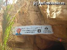 [P19] si in zona vestiarelor sunt camere de rugaciuni la Wild Wadi.Credinciosi oameni » foto by fighter
 - 
<span class="allrVoted glyphicon glyphicon-heart hidden" id="av314960"></span>
<a class="m-l-10 hidden" id="sv314960" onclick="voting_Foto_DelVot(,314960,3199)" role="button">șterge vot <span class="glyphicon glyphicon-remove"></span></a>
<a id="v9314960" class=" c-red"  onclick="voting_Foto_SetVot(314960)" role="button"><span class="glyphicon glyphicon-heart-empty"></span> <b>LIKE</b> = Votează poza</a> <img class="hidden"  id="f314960W9" src="/imagini/loader.gif" border="0" /><span class="AjErrMes hidden" id="e314960ErM"></span>
