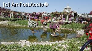 [P62] Miracle Garden » foto by koko48
 - 
<span class="allrVoted glyphicon glyphicon-heart hidden" id="av859780"></span>
<a class="m-l-10 hidden" id="sv859780" onclick="voting_Foto_DelVot(,859780,3199)" role="button">șterge vot <span class="glyphicon glyphicon-remove"></span></a>
<a id="v9859780" class=" c-red"  onclick="voting_Foto_SetVot(859780)" role="button"><span class="glyphicon glyphicon-heart-empty"></span> <b>LIKE</b> = Votează poza</a> <img class="hidden"  id="f859780W9" src="/imagini/loader.gif" border="0" /><span class="AjErrMes hidden" id="e859780ErM"></span>