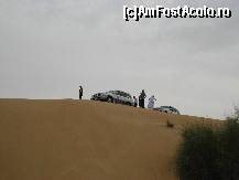 [P10] Oprire pe culmea unei dune » foto by lizuk
 - 
<span class="allrVoted glyphicon glyphicon-heart hidden" id="av76392"></span>
<a class="m-l-10 hidden" id="sv76392" onclick="voting_Foto_DelVot(,76392,3199)" role="button">șterge vot <span class="glyphicon glyphicon-remove"></span></a>
<a id="v976392" class=" c-red"  onclick="voting_Foto_SetVot(76392)" role="button"><span class="glyphicon glyphicon-heart-empty"></span> <b>LIKE</b> = Votează poza</a> <img class="hidden"  id="f76392W9" src="/imagini/loader.gif" border="0" /><span class="AjErrMes hidden" id="e76392ErM"></span>