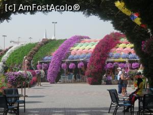 [P18] Miracle Garden » foto by indiralisa_26
 - 
<span class="allrVoted glyphicon glyphicon-heart hidden" id="av959802"></span>
<a class="m-l-10 hidden" id="sv959802" onclick="voting_Foto_DelVot(,959802,3199)" role="button">șterge vot <span class="glyphicon glyphicon-remove"></span></a>
<a id="v9959802" class=" c-red"  onclick="voting_Foto_SetVot(959802)" role="button"><span class="glyphicon glyphicon-heart-empty"></span> <b>LIKE</b> = Votează poza</a> <img class="hidden"  id="f959802W9" src="/imagini/loader.gif" border="0" /><span class="AjErrMes hidden" id="e959802ErM"></span>