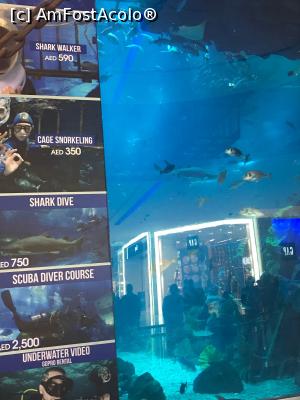 [P33] Aquarium Mall Dubai » foto by karina241*
 - 
<span class="allrVoted glyphicon glyphicon-heart hidden" id="av870256"></span>
<a class="m-l-10 hidden" id="sv870256" onclick="voting_Foto_DelVot(,870256,3199)" role="button">șterge vot <span class="glyphicon glyphicon-remove"></span></a>
<a id="v9870256" class=" c-red"  onclick="voting_Foto_SetVot(870256)" role="button"><span class="glyphicon glyphicon-heart-empty"></span> <b>LIKE</b> = Votează poza</a> <img class="hidden"  id="f870256W9" src="/imagini/loader.gif" border="0" /><span class="AjErrMes hidden" id="e870256ErM"></span>