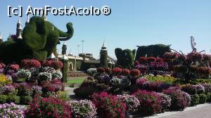 [P15]  -- <small>// FĂRĂ DESCRIERE</small> » foto by Ilie OLIVIA
 - 
<span class="allrVoted glyphicon glyphicon-heart hidden" id="av1126740"></span>
<a class="m-l-10 hidden" id="sv1126740" onclick="voting_Foto_DelVot(,1126740,3199)" role="button">șterge vot <span class="glyphicon glyphicon-remove"></span></a>
<a id="v91126740" class=" c-red"  onclick="voting_Foto_SetVot(1126740)" role="button"><span class="glyphicon glyphicon-heart-empty"></span> <b>LIKE</b> = Votează poza</a> <img class="hidden"  id="f1126740W9" src="/imagini/loader.gif" border="0" /><span class="AjErrMes hidden" id="e1126740ErM"></span>