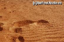 [P17] aventura in desert 2 » foto by adrian76
 - 
<span class="allrVoted glyphicon glyphicon-heart hidden" id="av20633"></span>
<a class="m-l-10 hidden" id="sv20633" onclick="voting_Foto_DelVot(,20633,3199)" role="button">șterge vot <span class="glyphicon glyphicon-remove"></span></a>
<a id="v920633" class=" c-red"  onclick="voting_Foto_SetVot(20633)" role="button"><span class="glyphicon glyphicon-heart-empty"></span> <b>LIKE</b> = Votează poza</a> <img class="hidden"  id="f20633W9" src="/imagini/loader.gif" border="0" /><span class="AjErrMes hidden" id="e20633ErM"></span>