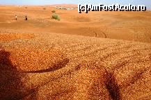 [P20] aventura in desert 5 » foto by adrian76
 - 
<span class="allrVoted glyphicon glyphicon-heart hidden" id="av20636"></span>
<a class="m-l-10 hidden" id="sv20636" onclick="voting_Foto_DelVot(,20636,3199)" role="button">șterge vot <span class="glyphicon glyphicon-remove"></span></a>
<a id="v920636" class=" c-red"  onclick="voting_Foto_SetVot(20636)" role="button"><span class="glyphicon glyphicon-heart-empty"></span> <b>LIKE</b> = Votează poza</a> <img class="hidden"  id="f20636W9" src="/imagini/loader.gif" border="0" /><span class="AjErrMes hidden" id="e20636ErM"></span>