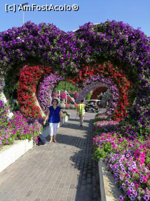 [P03] Miracle Garden » foto by mariana07
 - 
<span class="allrVoted glyphicon glyphicon-heart hidden" id="av1272821"></span>
<a class="m-l-10 hidden" id="sv1272821" onclick="voting_Foto_DelVot(,1272821,3199)" role="button">șterge vot <span class="glyphicon glyphicon-remove"></span></a>
<a id="v91272821" class=" c-red"  onclick="voting_Foto_SetVot(1272821)" role="button"><span class="glyphicon glyphicon-heart-empty"></span> <b>LIKE</b> = Votează poza</a> <img class="hidden"  id="f1272821W9" src="/imagini/loader.gif" border="0" /><span class="AjErrMes hidden" id="e1272821ErM"></span>