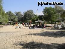 [P12] localnici la picnic » foto by ionut30
 - 
<span class="allrVoted glyphicon glyphicon-heart hidden" id="av158048"></span>
<a class="m-l-10 hidden" id="sv158048" onclick="voting_Foto_DelVot(,158048,3199)" role="button">șterge vot <span class="glyphicon glyphicon-remove"></span></a>
<a id="v9158048" class=" c-red"  onclick="voting_Foto_SetVot(158048)" role="button"><span class="glyphicon glyphicon-heart-empty"></span> <b>LIKE</b> = Votează poza</a> <img class="hidden"  id="f158048W9" src="/imagini/loader.gif" border="0" /><span class="AjErrMes hidden" id="e158048ErM"></span>