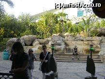 [P126] aquaventure  langa hotel atlantis » foto by ionut30
 - 
<span class="allrVoted glyphicon glyphicon-heart hidden" id="av158502"></span>
<a class="m-l-10 hidden" id="sv158502" onclick="voting_Foto_DelVot(,158502,3199)" role="button">șterge vot <span class="glyphicon glyphicon-remove"></span></a>
<a id="v9158502" class=" c-red"  onclick="voting_Foto_SetVot(158502)" role="button"><span class="glyphicon glyphicon-heart-empty"></span> <b>LIKE</b> = Votează poza</a> <img class="hidden"  id="f158502W9" src="/imagini/loader.gif" border="0" /><span class="AjErrMes hidden" id="e158502ErM"></span>