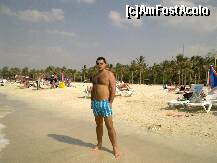 [P32] una din plajele jumeira..fotografiatul este interzis..dar ne-am descurcat » foto by ionut30
 - 
<span class="allrVoted glyphicon glyphicon-heart hidden" id="av158068"></span>
<a class="m-l-10 hidden" id="sv158068" onclick="voting_Foto_DelVot(,158068,3199)" role="button">șterge vot <span class="glyphicon glyphicon-remove"></span></a>
<a id="v9158068" class=" c-red"  onclick="voting_Foto_SetVot(158068)" role="button"><span class="glyphicon glyphicon-heart-empty"></span> <b>LIKE</b> = Votează poza</a> <img class="hidden"  id="f158068W9" src="/imagini/loader.gif" border="0" /><span class="AjErrMes hidden" id="e158068ErM"></span>