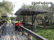 [P38] parcul de langa plaja jumeira » foto by ionut30
 - 
<span class="allrVoted glyphicon glyphicon-heart hidden" id="av158074"></span>
<a class="m-l-10 hidden" id="sv158074" onclick="voting_Foto_DelVot(,158074,3199)" role="button">șterge vot <span class="glyphicon glyphicon-remove"></span></a>
<a id="v9158074" class=" c-red"  onclick="voting_Foto_SetVot(158074)" role="button"><span class="glyphicon glyphicon-heart-empty"></span> <b>LIKE</b> = Votează poza</a> <img class="hidden"  id="f158074W9" src="/imagini/loader.gif" border="0" /><span class="AjErrMes hidden" id="e158074ErM"></span>