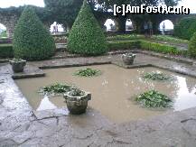 [P12] nuferi dupa ploaie torentiala » foto by gcorneille*
 - 
<span class="allrVoted glyphicon glyphicon-heart hidden" id="av122705"></span>
<a class="m-l-10 hidden" id="sv122705" onclick="voting_Foto_DelVot(,122705,3210)" role="button">șterge vot <span class="glyphicon glyphicon-remove"></span></a>
<a id="v9122705" class=" c-red"  onclick="voting_Foto_SetVot(122705)" role="button"><span class="glyphicon glyphicon-heart-empty"></span> <b>LIKE</b> = Votează poza</a> <img class="hidden"  id="f122705W9" src="/imagini/loader.gif" border="0" /><span class="AjErrMes hidden" id="e122705ErM"></span>