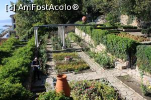 [P16] Balcic, Castelul și Grădina Botanică, Grădina lui Alexander, Alei printre ronduri de flori » foto by mprofeanu
 - 
<span class="allrVoted glyphicon glyphicon-heart hidden" id="av1217962"></span>
<a class="m-l-10 hidden" id="sv1217962" onclick="voting_Foto_DelVot(,1217962,3210)" role="button">șterge vot <span class="glyphicon glyphicon-remove"></span></a>
<a id="v91217962" class=" c-red"  onclick="voting_Foto_SetVot(1217962)" role="button"><span class="glyphicon glyphicon-heart-empty"></span> <b>LIKE</b> = Votează poza</a> <img class="hidden"  id="f1217962W9" src="/imagini/loader.gif" border="0" /><span class="AjErrMes hidden" id="e1217962ErM"></span>