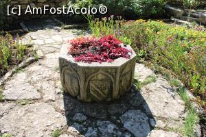 [P18] Balcic, Castelul și Grădina Botanică, Gradina lui Alexander, Bol de marmură cu diverse steme sculptate pe fațetele lui » foto by mprofeanu
 - 
<span class="allrVoted glyphicon glyphicon-heart hidden" id="av1217964"></span>
<a class="m-l-10 hidden" id="sv1217964" onclick="voting_Foto_DelVot(,1217964,3210)" role="button">șterge vot <span class="glyphicon glyphicon-remove"></span></a>
<a id="v91217964" class=" c-red"  onclick="voting_Foto_SetVot(1217964)" role="button"><span class="glyphicon glyphicon-heart-empty"></span> <b>LIKE</b> = Votează poza</a> <img class="hidden"  id="f1217964W9" src="/imagini/loader.gif" border="0" /><span class="AjErrMes hidden" id="e1217964ErM"></span>