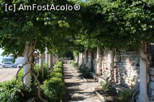 [P19] Balcic, Castelul și Grădina Botanică, Aleea Secolelor cu coloane de piatră și spaliere cu verdeață » foto by mprofeanu
 - 
<span class="allrVoted glyphicon glyphicon-heart hidden" id="av1217965"></span>
<a class="m-l-10 hidden" id="sv1217965" onclick="voting_Foto_DelVot(,1217965,3210)" role="button">șterge vot <span class="glyphicon glyphicon-remove"></span></a>
<a id="v91217965" class=" c-red"  onclick="voting_Foto_SetVot(1217965)" role="button"><span class="glyphicon glyphicon-heart-empty"></span> <b>LIKE</b> = Votează poza</a> <img class="hidden"  id="f1217965W9" src="/imagini/loader.gif" border="0" /><span class="AjErrMes hidden" id="e1217965ErM"></span>