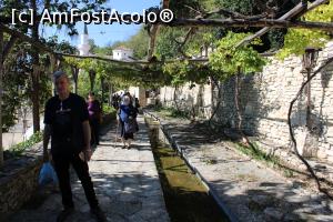 [P33] Balcic, Castelul și Grădina Botanică, Aleea vinului, Plimbare plăcută pe sub bolta de viță de vie » foto by mprofeanu
 - 
<span class="allrVoted glyphicon glyphicon-heart hidden" id="av1217979"></span>
<a class="m-l-10 hidden" id="sv1217979" onclick="voting_Foto_DelVot(,1217979,3210)" role="button">șterge vot <span class="glyphicon glyphicon-remove"></span></a>
<a id="v91217979" class=" c-red"  onclick="voting_Foto_SetVot(1217979)" role="button"><span class="glyphicon glyphicon-heart-empty"></span> <b>LIKE</b> = Votează poza</a> <img class="hidden"  id="f1217979W9" src="/imagini/loader.gif" border="0" /><span class="AjErrMes hidden" id="e1217979ErM"></span>