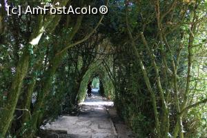 [P04] Balcic, Castelul și Grădina Botanică, Gradina Labirint verde și în zi de octombrie » foto by mprofeanu
 - 
<span class="allrVoted glyphicon glyphicon-heart hidden" id="av1217950"></span>
<a class="m-l-10 hidden" id="sv1217950" onclick="voting_Foto_DelVot(,1217950,3210)" role="button">șterge vot <span class="glyphicon glyphicon-remove"></span></a>
<a id="v91217950" class=" c-red"  onclick="voting_Foto_SetVot(1217950)" role="button"><span class="glyphicon glyphicon-heart-empty"></span> <b>LIKE</b> = Votează poza</a> <img class="hidden"  id="f1217950W9" src="/imagini/loader.gif" border="0" /><span class="AjErrMes hidden" id="e1217950ErM"></span>