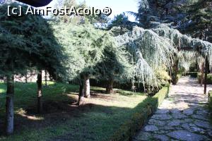 [P07] Balcic, Castelul și Grădina Botanică, Grădina Pomilor Plângători, Copaci spectaculoși, decorativi » foto by mprofeanu
 - 
<span class="allrVoted glyphicon glyphicon-heart hidden" id="av1217953"></span>
<a class="m-l-10 hidden" id="sv1217953" onclick="voting_Foto_DelVot(,1217953,3210)" role="button">șterge vot <span class="glyphicon glyphicon-remove"></span></a>
<a id="v91217953" class=" c-red"  onclick="voting_Foto_SetVot(1217953)" role="button"><span class="glyphicon glyphicon-heart-empty"></span> <b>LIKE</b> = Votează poza</a> <img class="hidden"  id="f1217953W9" src="/imagini/loader.gif" border="0" /><span class="AjErrMes hidden" id="e1217953ErM"></span>